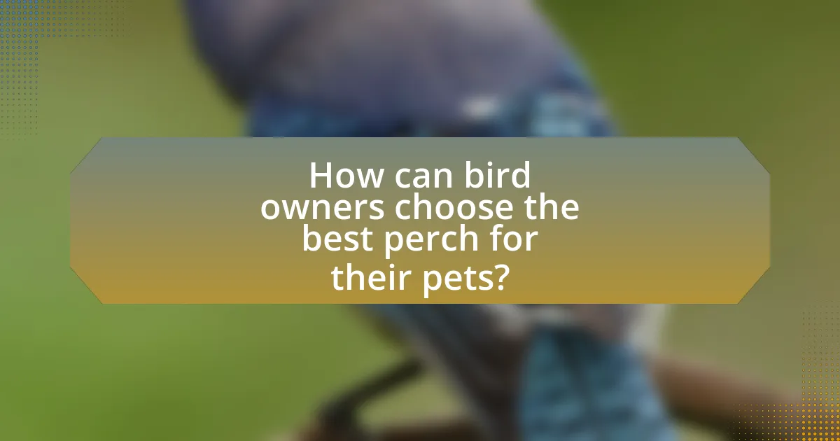 How can bird owners choose the best perch for their pets?