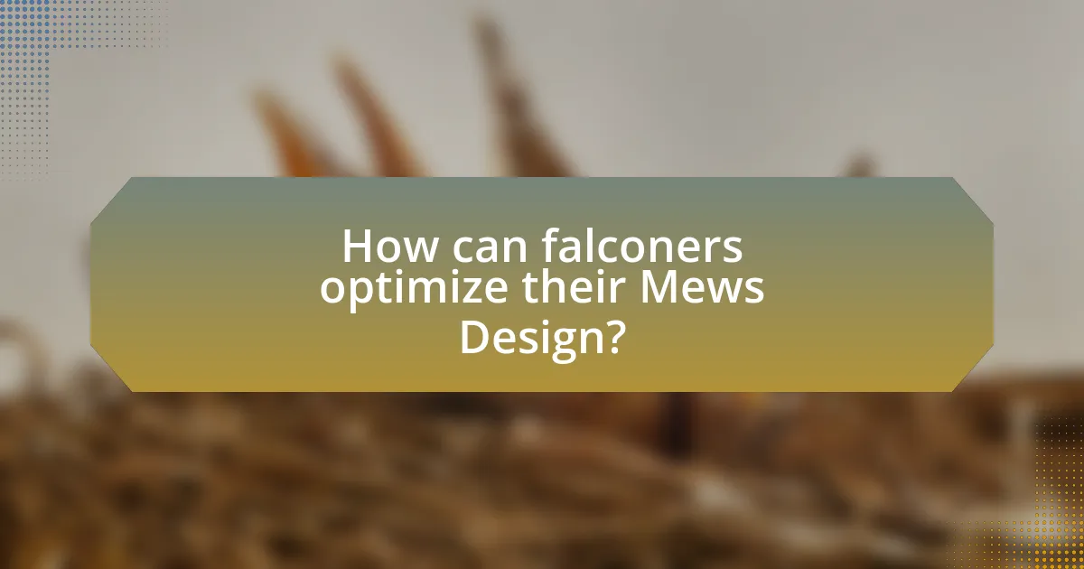 How can falconers optimize their Mews Design?
