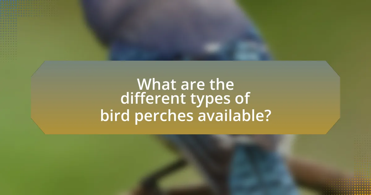 What are the different types of bird perches available?