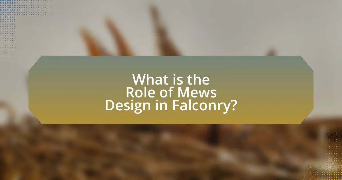What is the Role of Mews Design in Falconry?